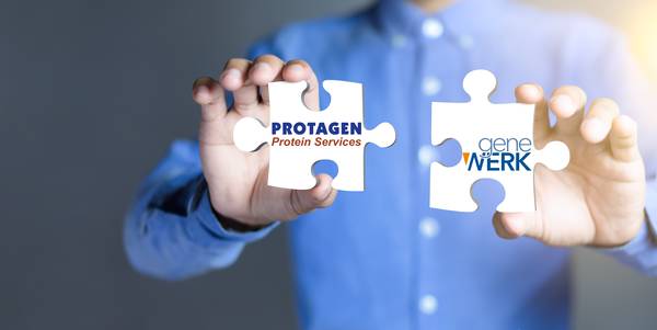 Protagen Protein Services Merges with GeneWerk to Integrate Leading Protein and Gene Therapy Analytic Platforms