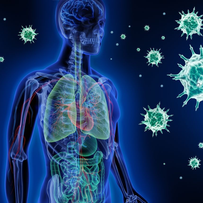 Introduction to Pharmacokinetics