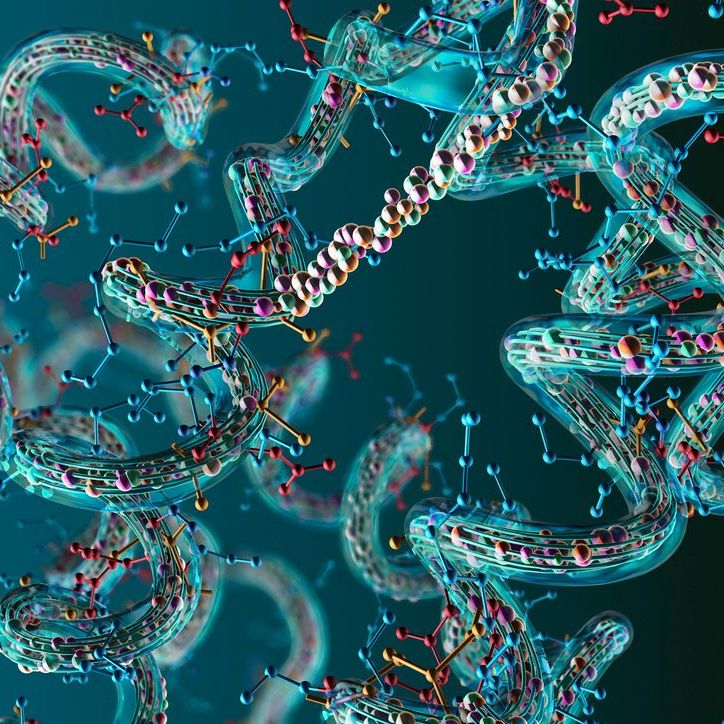 Optimizing Cell-Penetrating Peptide Selection for Intracellular Delivery of Diverse Molecules