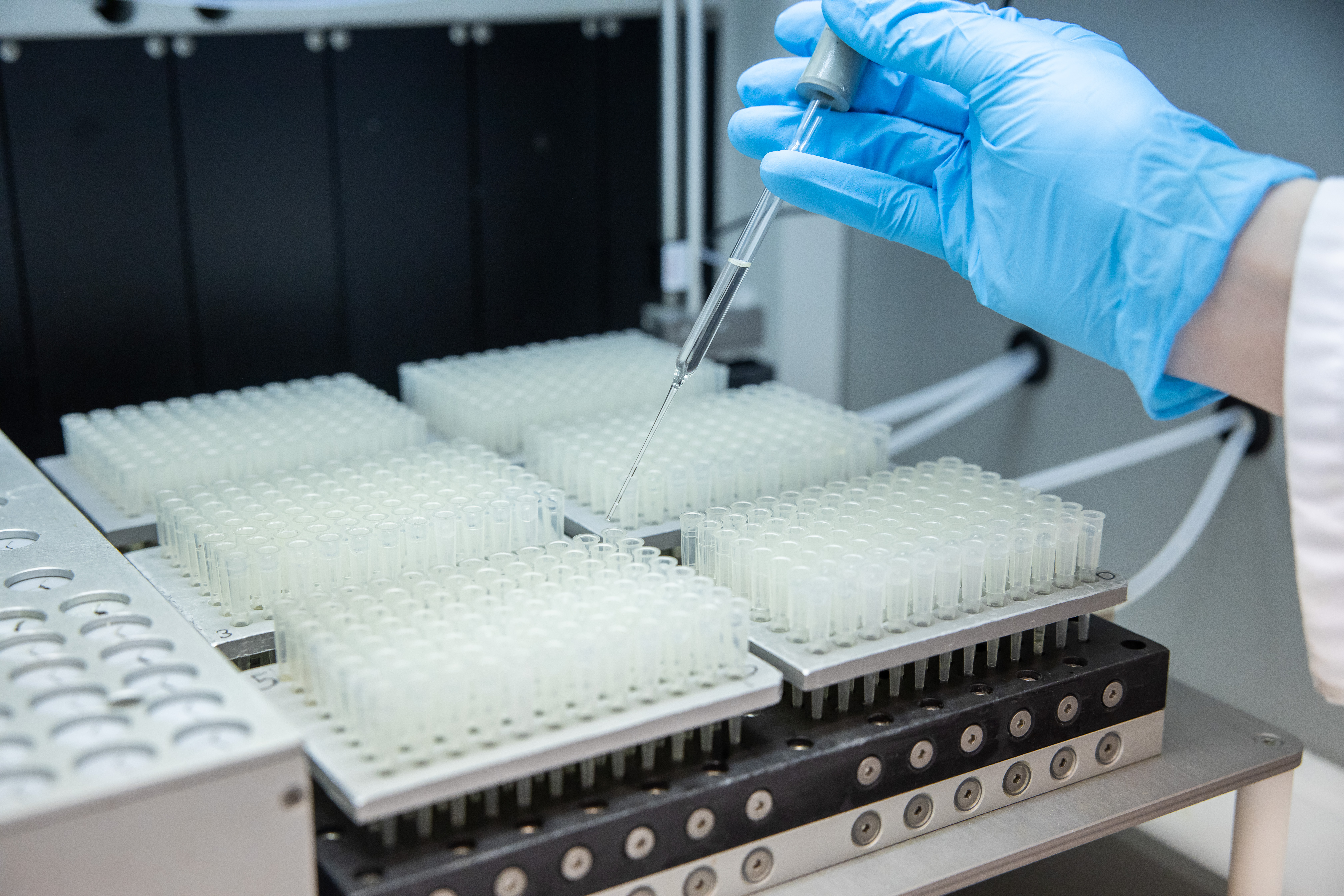 Strategically Navigating Peptide Library Choices in Discovery