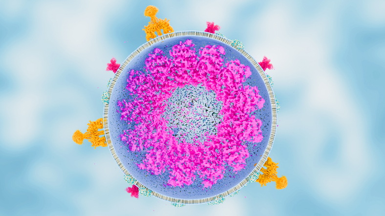 Structural Heterogeneity in Focus: Preparing for Cryo-EM Success